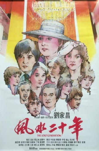 Póster de 風水二十年