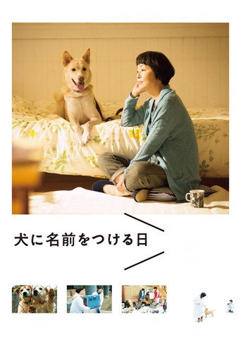 Póster de 犬に名前をつける日