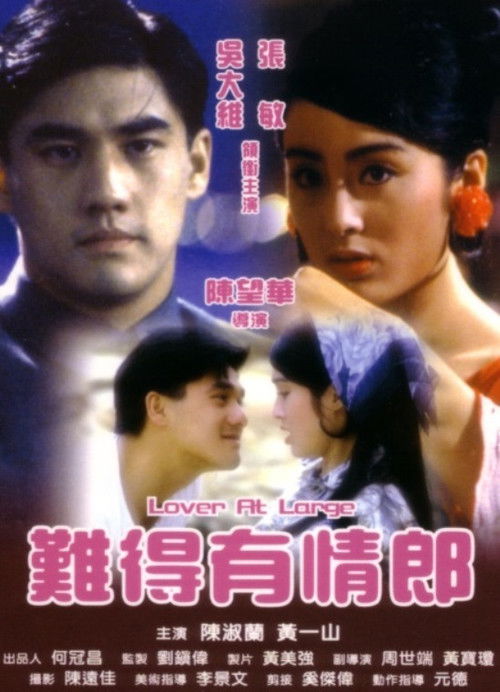 Póster de 難得有情郎