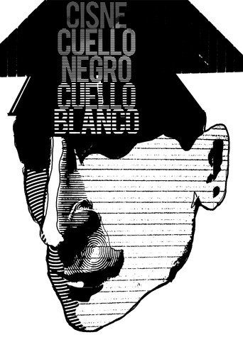 Póster de Cisne Cuello Negro, Cuello Blanco