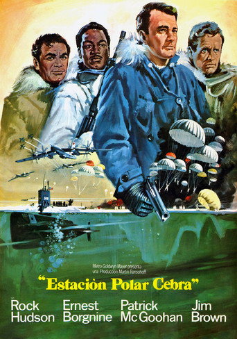 Póster de Estación polar Zebra