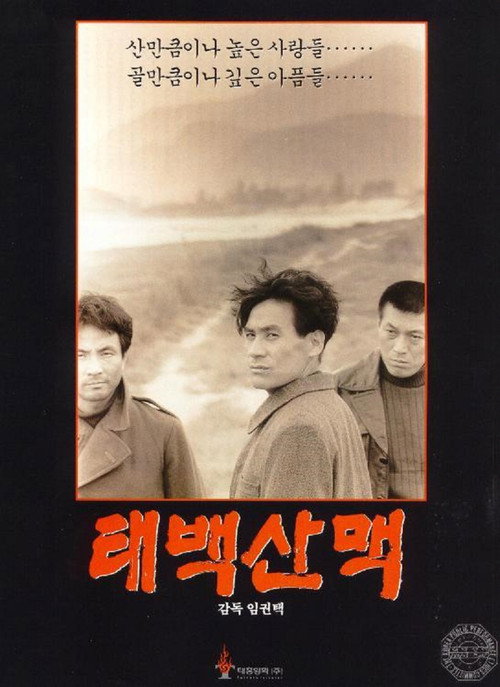 Póster de 태백산맥