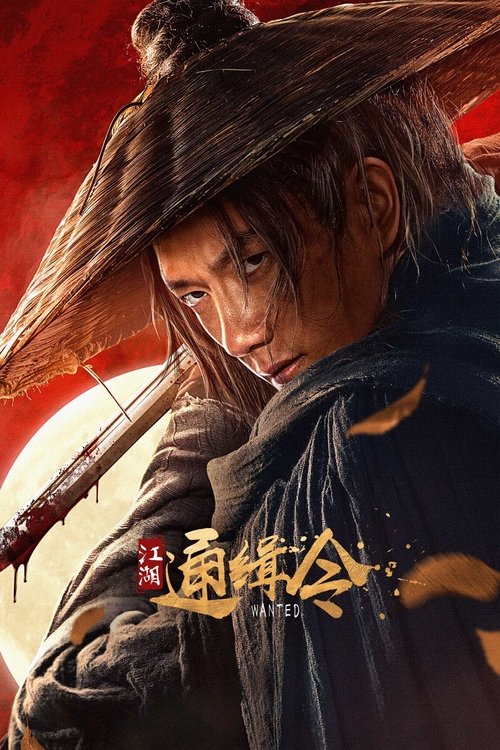Póster de 江湖通缉令