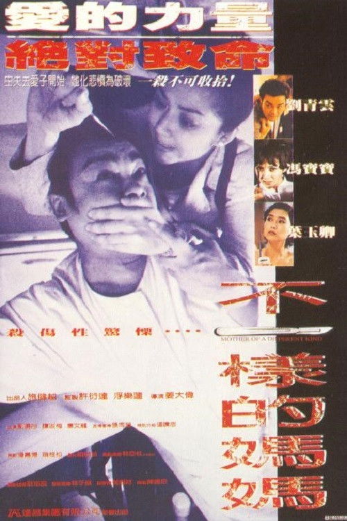 Póster de 不一樣的媽媽