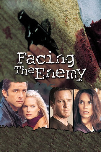 Póster de Facing the Enemy
