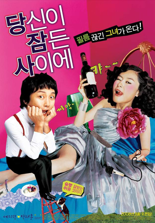 Póster de 당신이 잠든 사이에