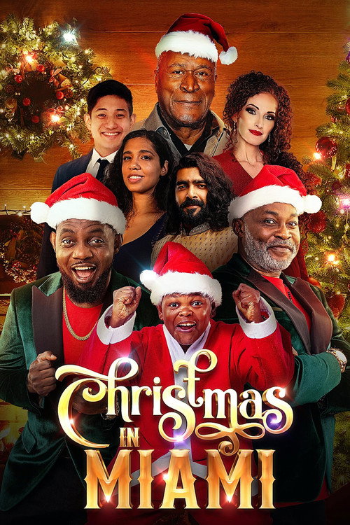 Póster de Christmas in Miami