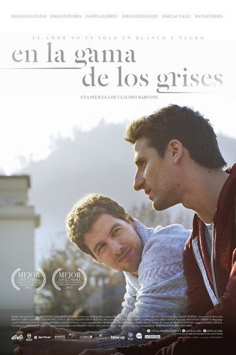 Póster de En la gama de los grises