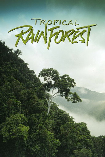 Póster de Tropical Rainforest