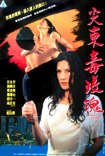 Póster de 93夜之女
