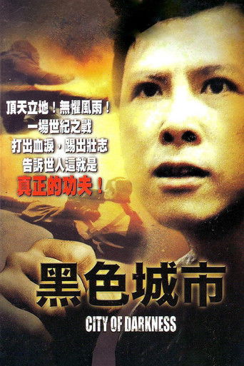 Póster de 黑色城市