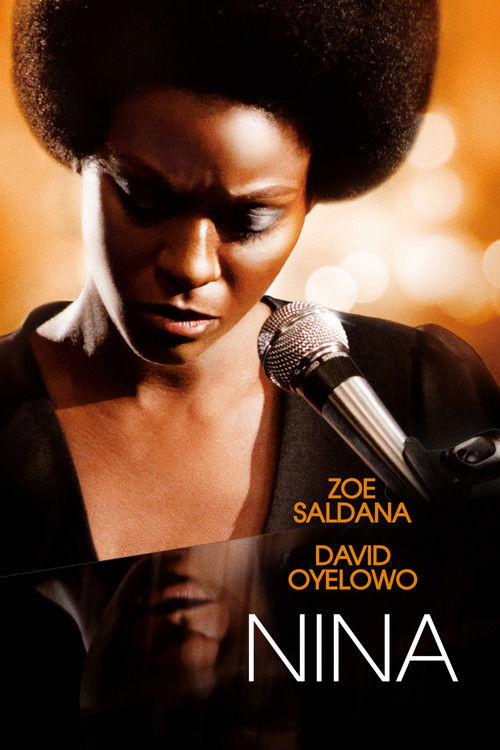 Póster de Nina