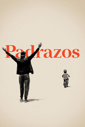Póster de Dads