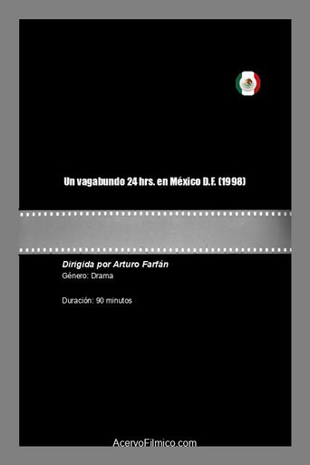 Póster de Un vagabundo 24 hrs. en México D.F.