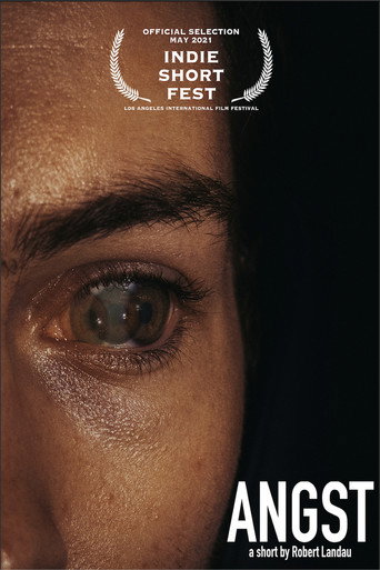 Póster de Angst
