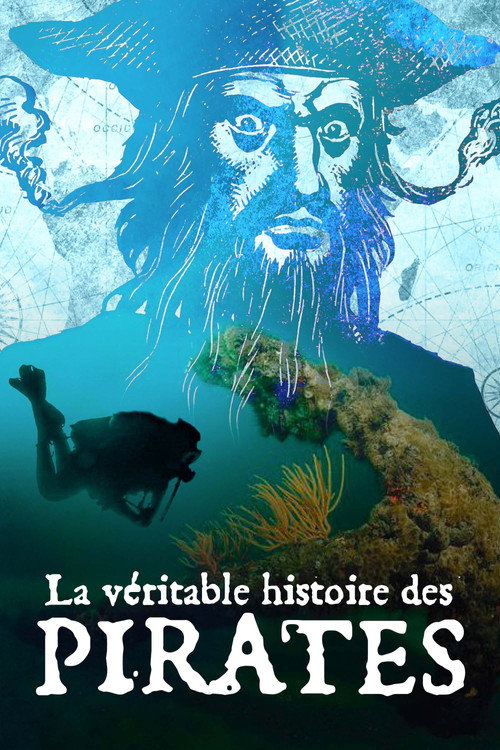Póster de La Véritable histoire des pirates
