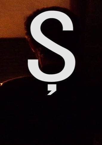 Póster de Ş