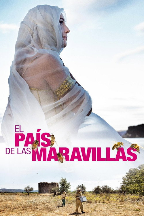Póster de Le meraviglie