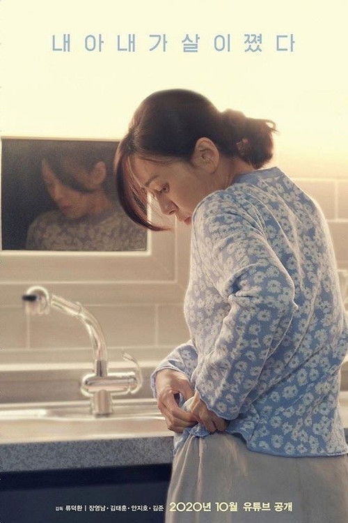 Póster de 내 아내가 살이 쪘다