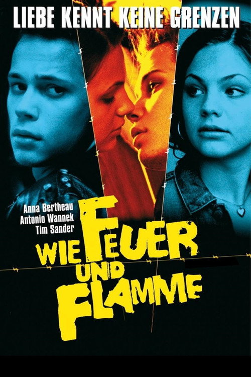 Póster de Wie Feuer und Flamme