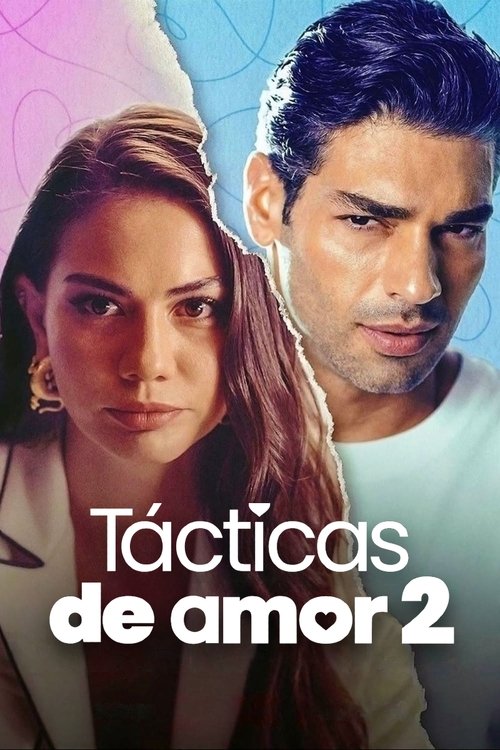 Póster de Tácticas de Amor 2