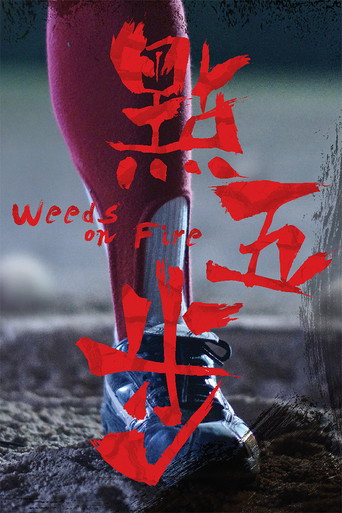 Póster de 點五步