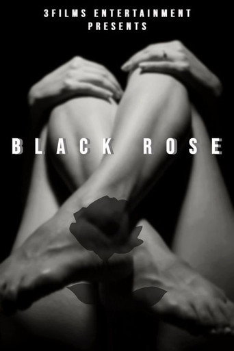 Póster de The Black Rose