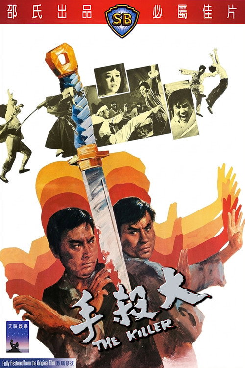 Póster de 大杀手