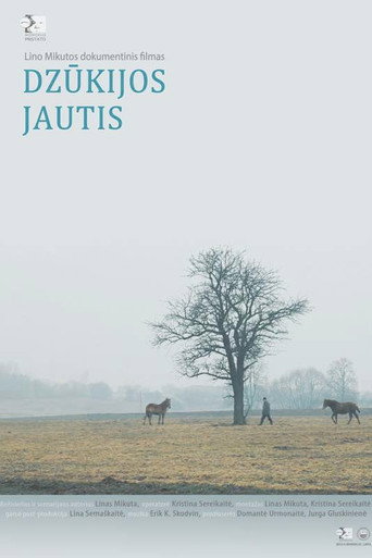Póster de Dzūkijos Jautis