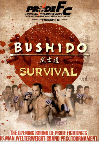 Póster de Pride Bushido 11