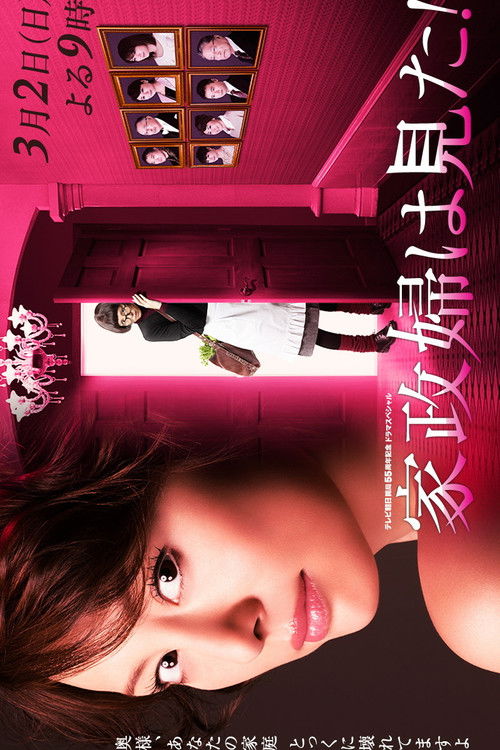 Póster de 家政婦は見た！