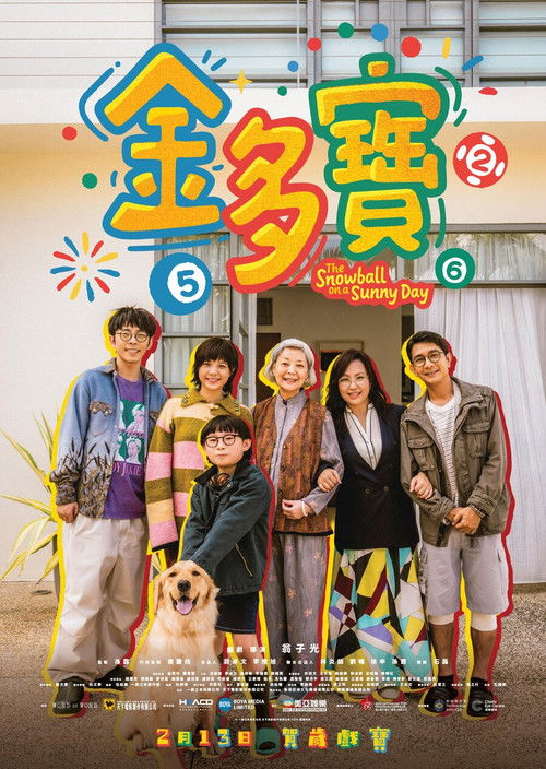 Póster de 金多寶