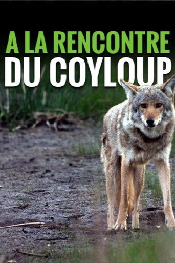 Póster de A la rencontre du coyloup