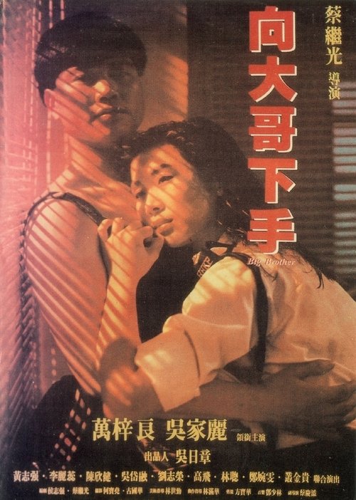 Póster de 鐵漢柔情