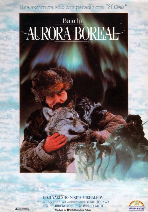 Póster de Под северным сиянием