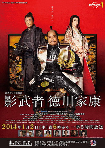 Póster de 影武者 徳川家康