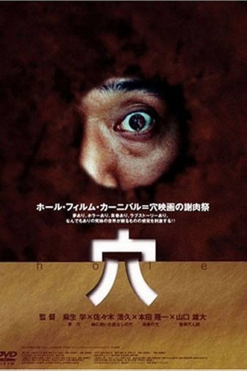 Póster de 穴