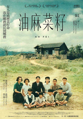 Póster de 油麻菜籽