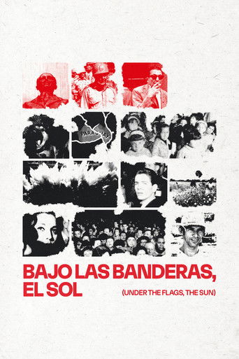 Póster de Bajo las banderas, el sol