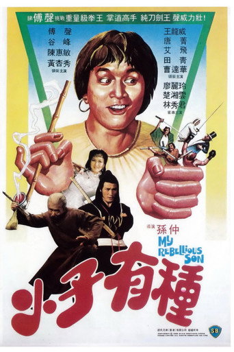 Póster de 小子有種