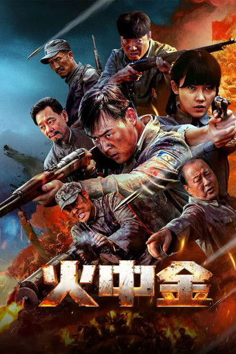 Póster de 火中金