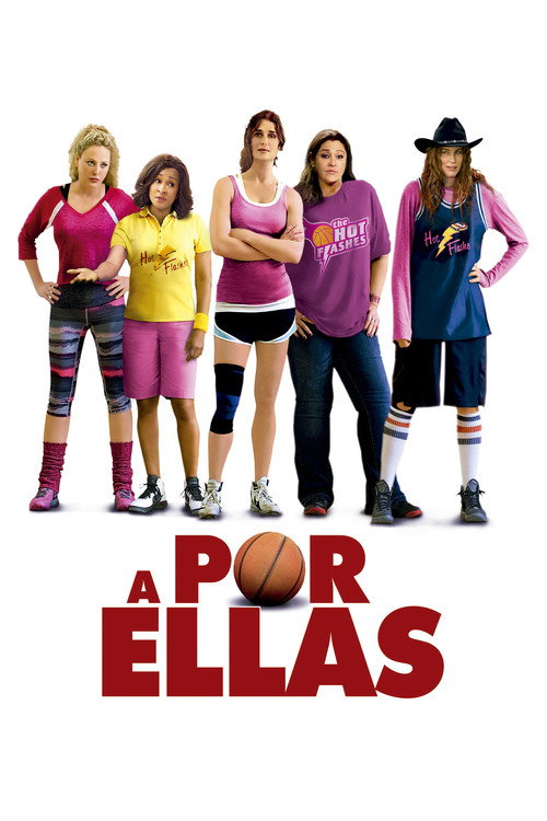 Póster de The Hot Flashes