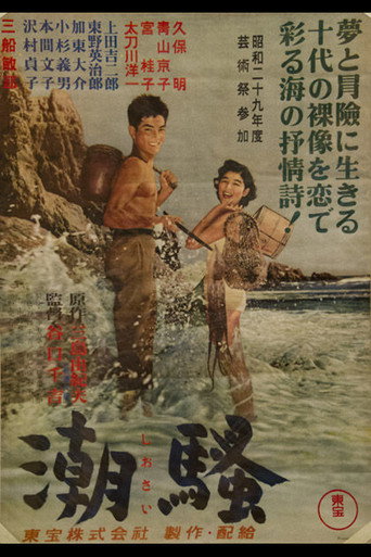 Póster de 潮騒