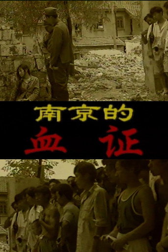 Póster de 南京的血证