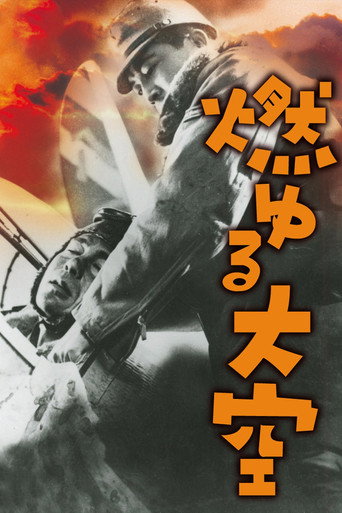 Póster de 燃ゆる大空