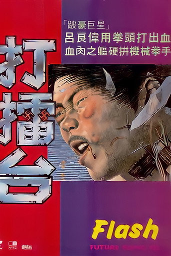 Póster de Flash Future Kung Fu