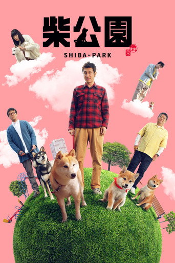 Póster de 柴公園