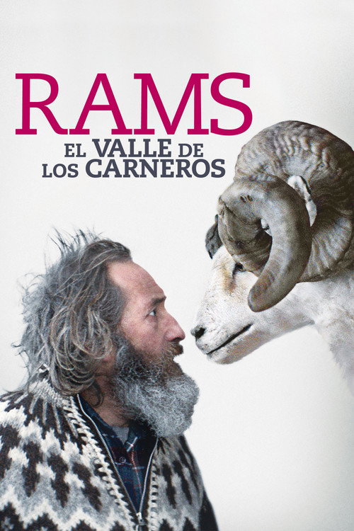 Póster de Hrútar