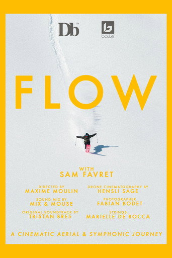 Póster de FLOW