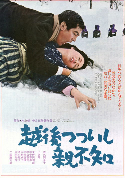 Póster de 越後つついし親不知